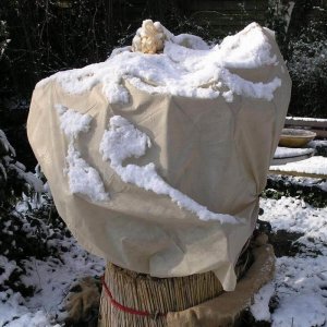 Wintervlies - 30 g/m² - 1,5 x 5 m